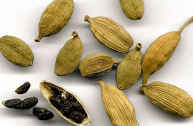 Cardamomo